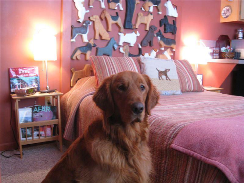 Dog Bark Park Inn B&B Pet Policy