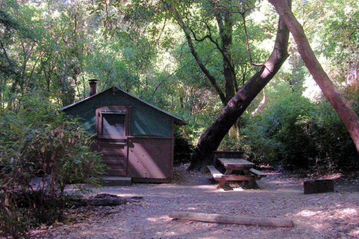 Pet Friendly Big Basin Tent Cabins