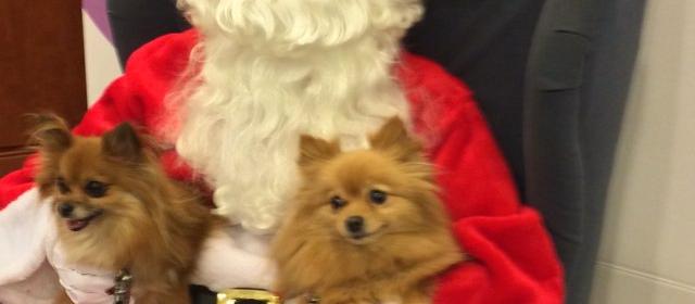 Dog Friendly Secaucus, NJ