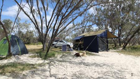 Pet Friendly Flinders Beach - Straddie Camping 