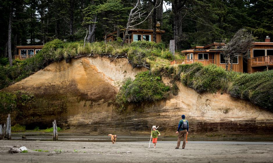 Dog Friendly Copalis Beach, WA