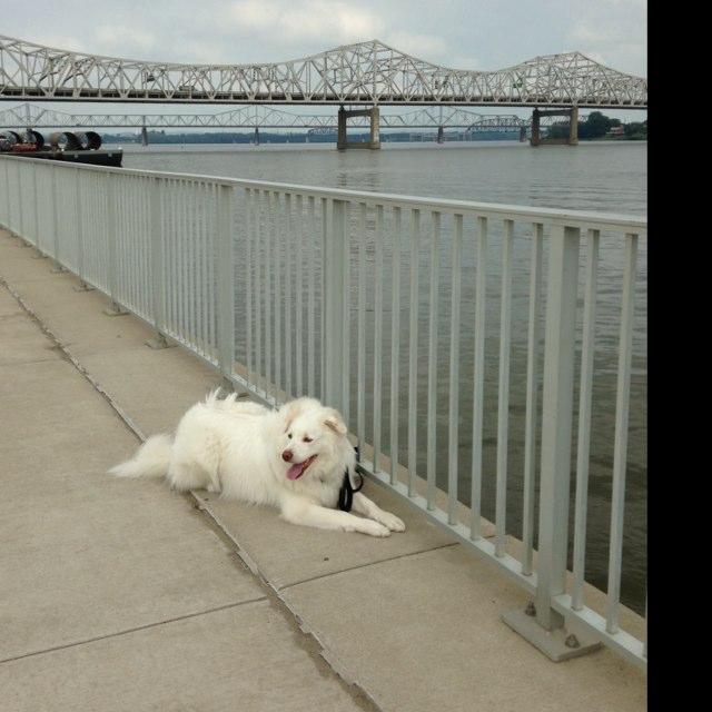 A Day At Waterfront Park