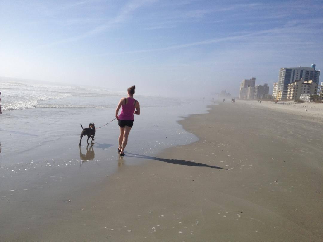 Pet Friendly Waggly Tails of Myrtle Beach
