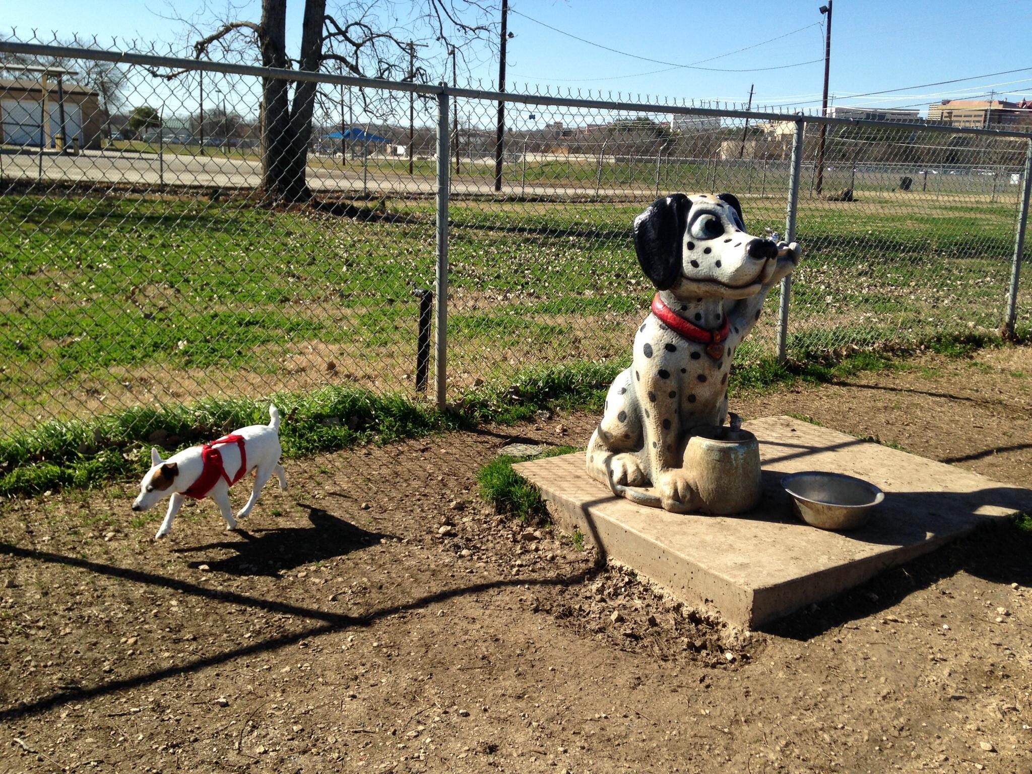 Pet Friendly San Marcos Dog Park