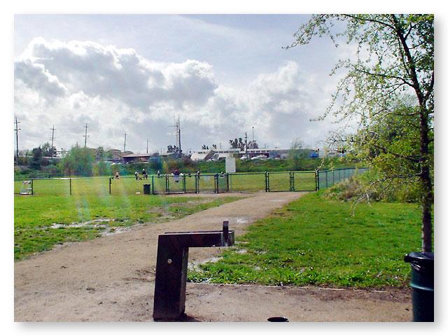 Toad Hollow Dog Park