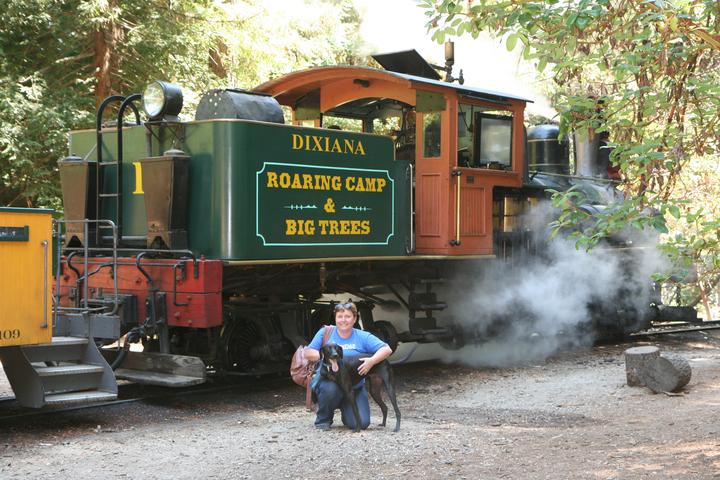 Pet Friendly Roaring Camp Railroads