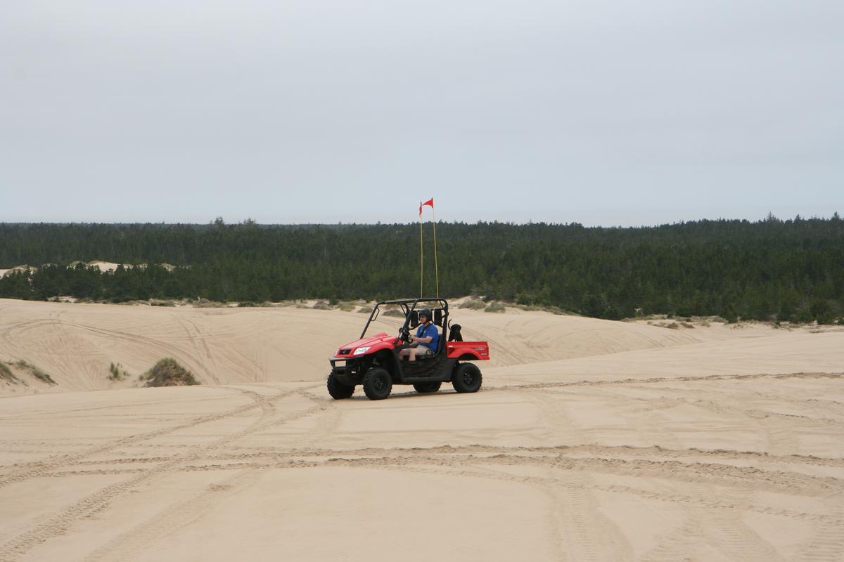 spinreel dune buggy