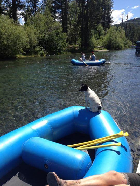 Truckee River Rafting