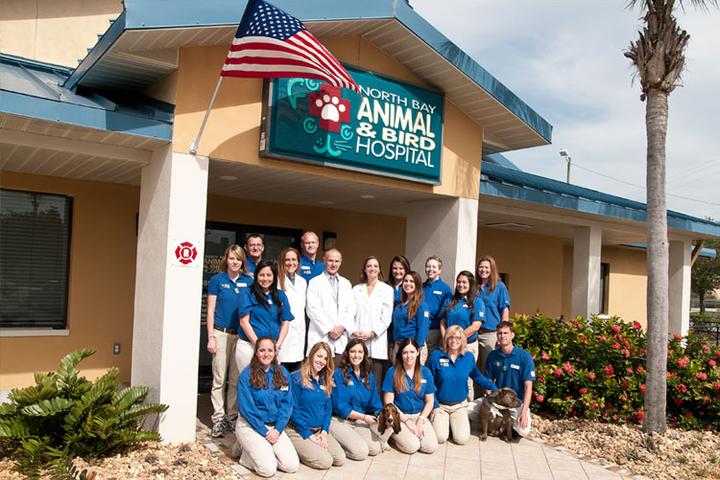 Directory of Veterinarians in Tampa, FL - BringFido