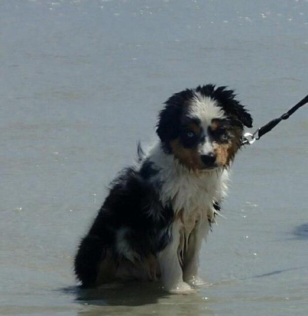 First trip to the beach