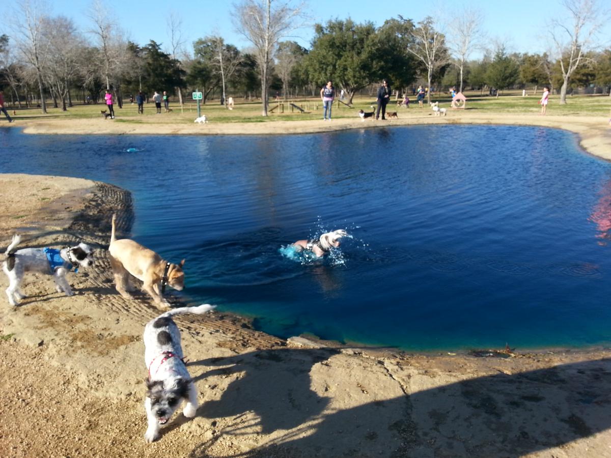 Congressman Bill Archer Bark Park