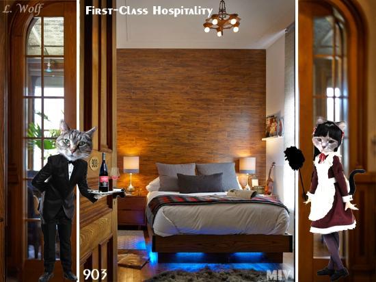 Pet Friendly Hotels In Burlington Vt Bringfido