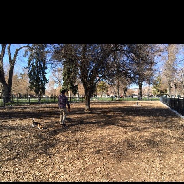 are dogs allowed in kaysville utah parks