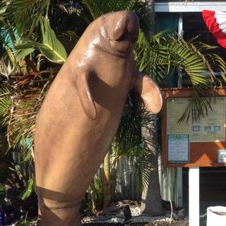 Rick's Reef restaurant view 7