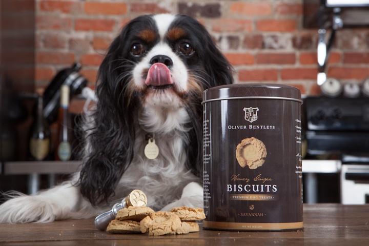 Bentley dog outlet treats