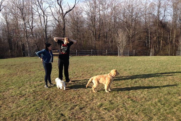 Pet Friendly Sewickley Heights Borough Park