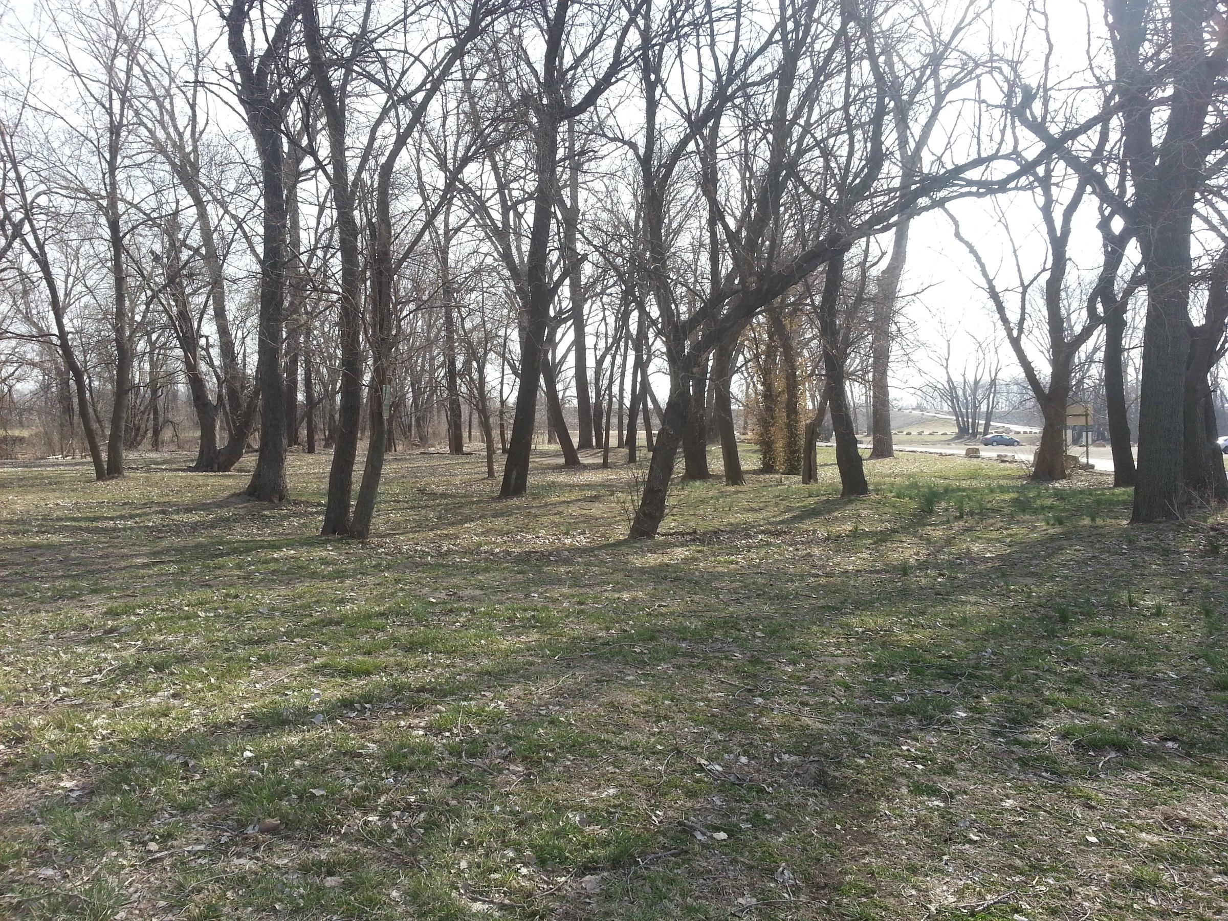 Riverfront Park, Lawrence, KS ⋆ BringFido