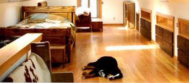 Dog Friendly Downieville, CA