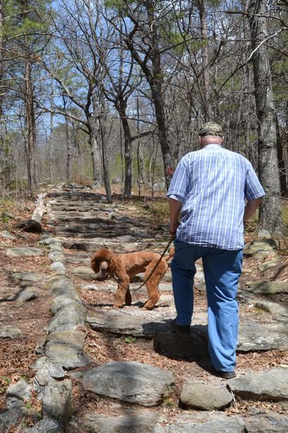 Pet Friendly Fort Mountain State Park