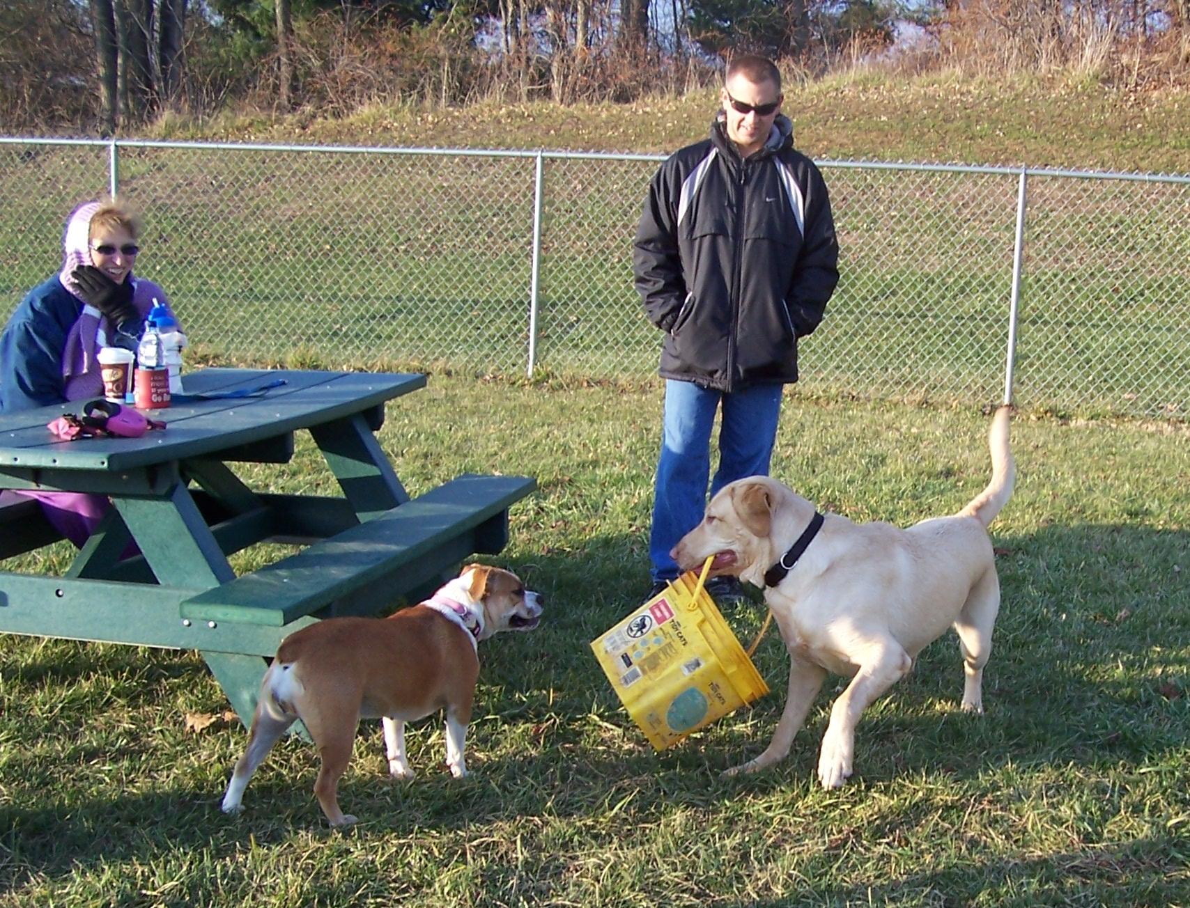 Pet Friendly Canal Fulton Dog Park