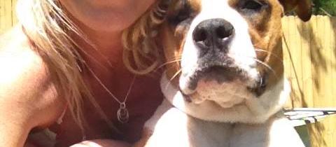 All Creatures Pet Sitting All Creatures Pet Sitting