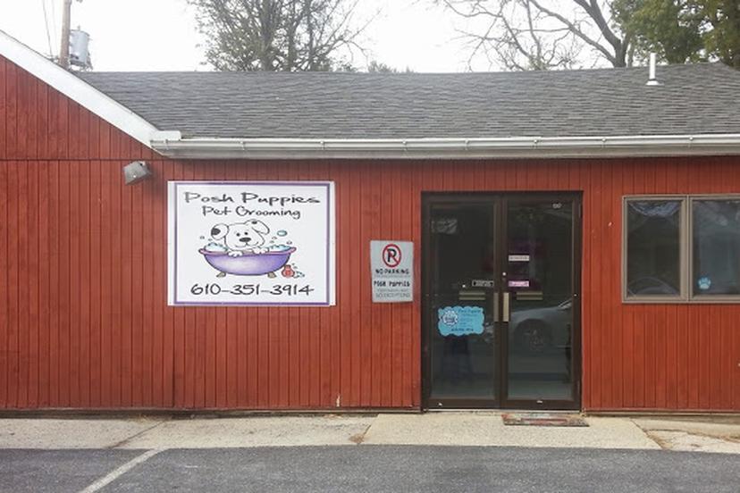 Directory of Dog Grooming in Allentown, PA - BringFido Directory of Dog Grooming in Allentown, PA - BringFido