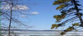 Dog Friendly Orillia, ON