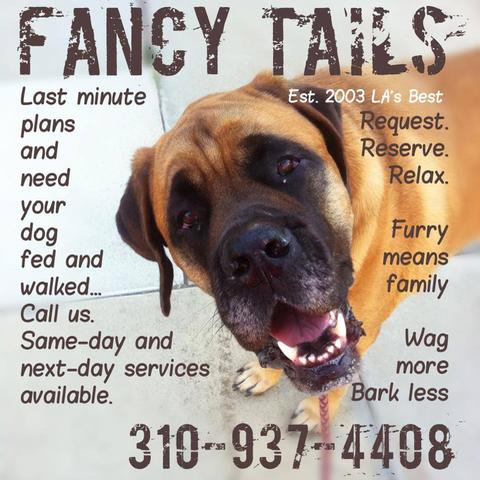 Dog Friendly Hermosa Beach Ca Bring Fido