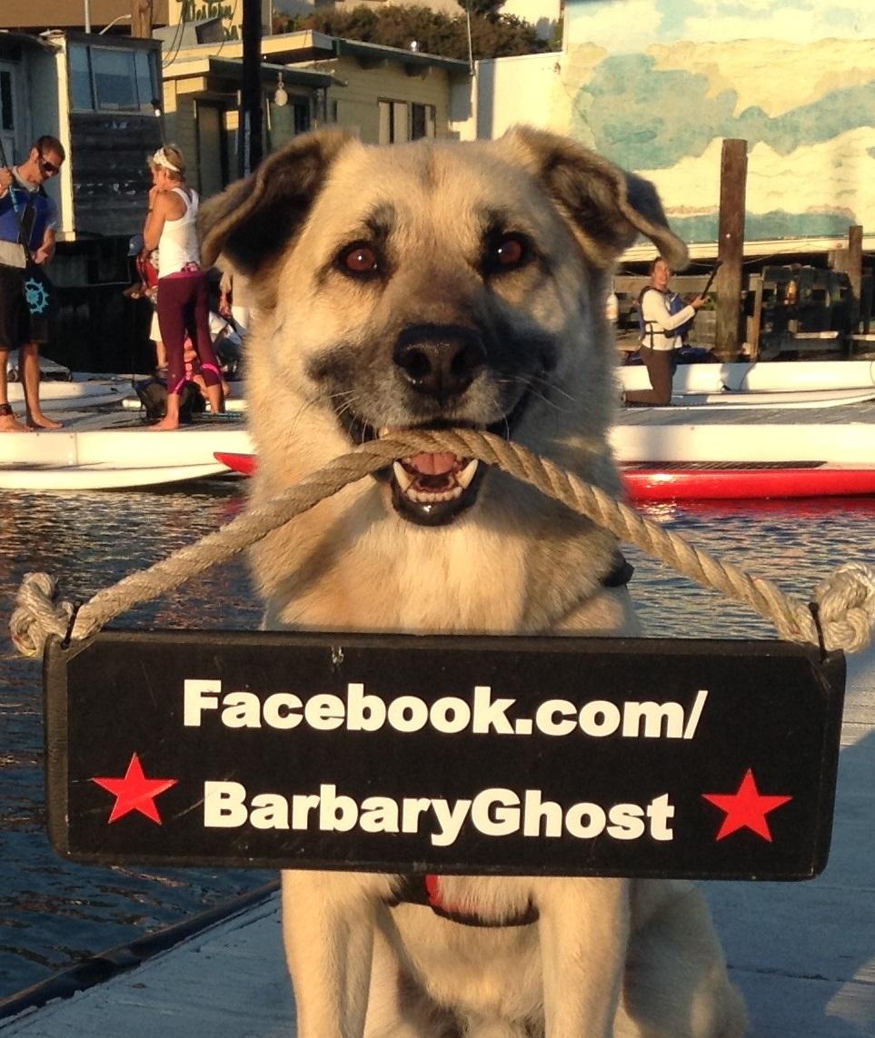 Niko, First Mate aboard charter boat Barbary Ghost