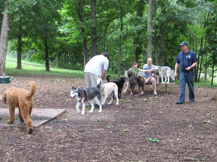 Pet Friendly Blue Springs Dog Park