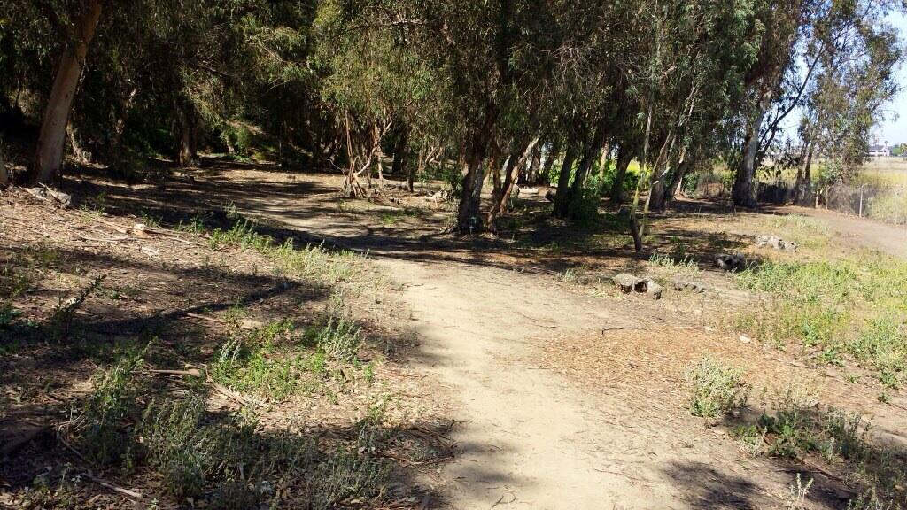 Dog Friendly Activities In Seal Beach Ca - Bringfido