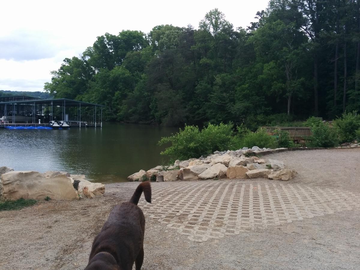 Off Leash Dog Parks in Powell TN BringFido