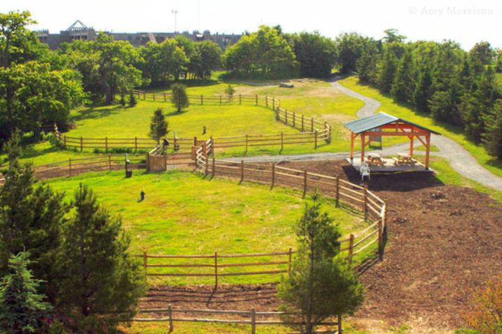 Off Leash Dog Parks In Boone Nc Bringfido Off Leash Dog Parks In Boone Nc Bringfido