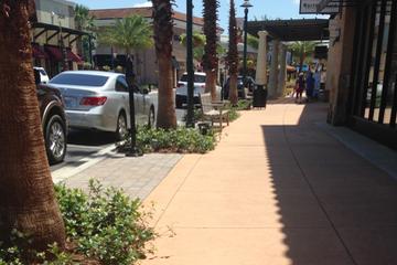 Dog Friendly Activities In Wesley Chapel Fl Bringfido