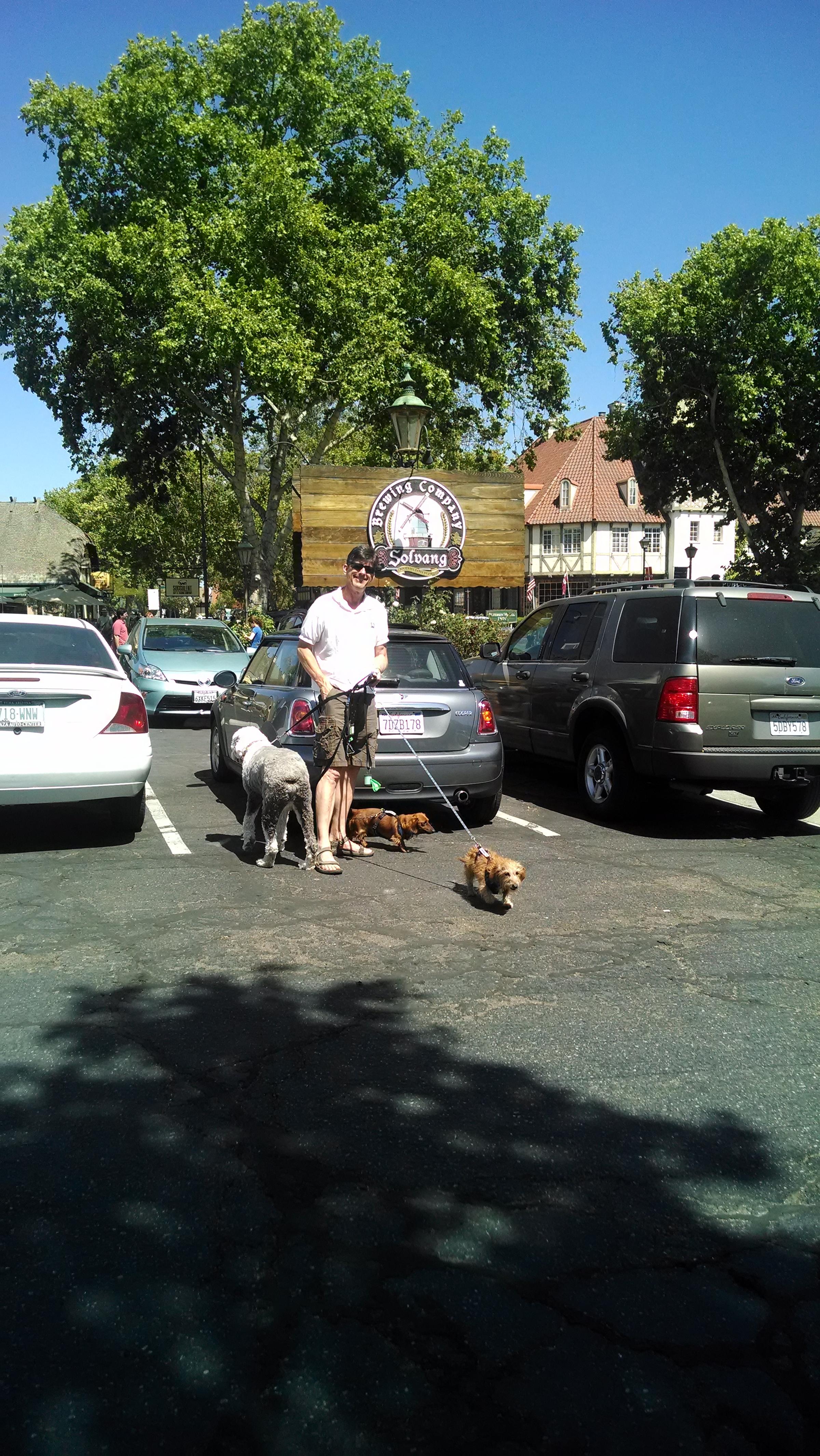 Pet Friendly Solvang Brewing Company