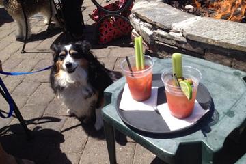 Dog Friendly Restaurants In Moss Beach Ca Bringfido