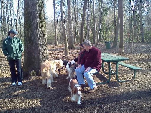 sweat mountain dog park