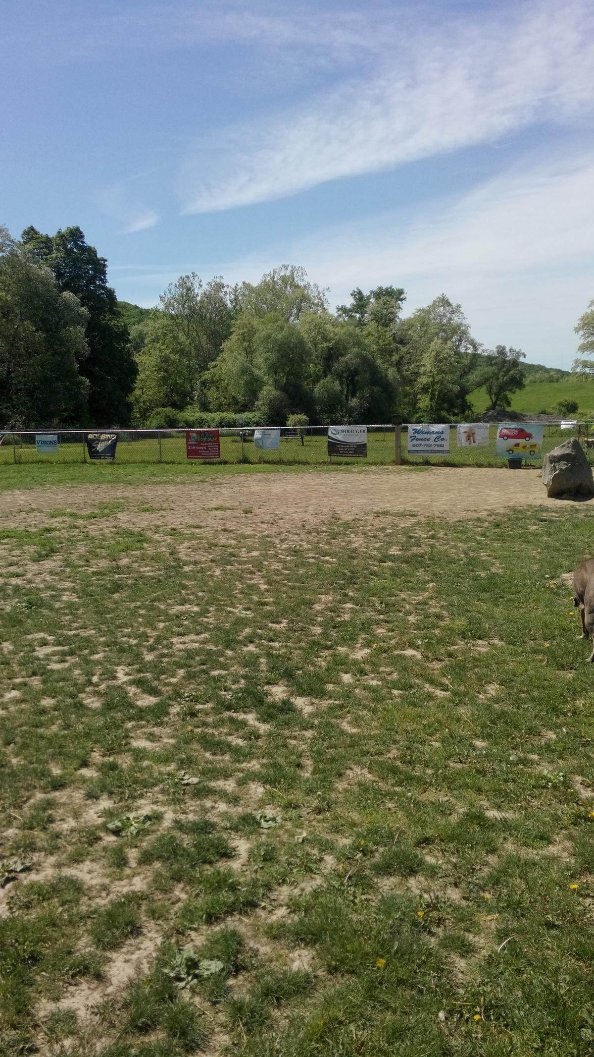 Canine Commons Dog Park
