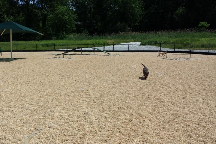 Pet Friendly Dog Park at Friends & Family Park