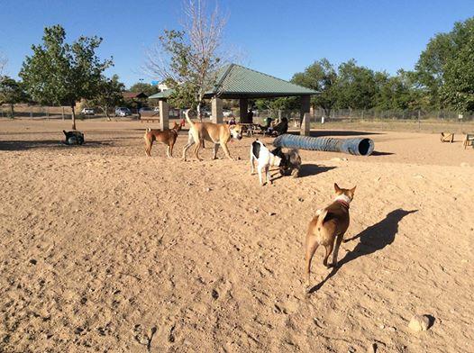 Willow Creek Dog Park
