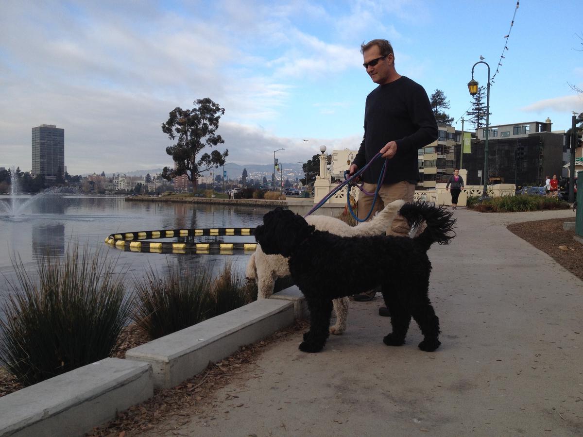 Off-Leash Dog Parks in Oakland, CA - BringFido