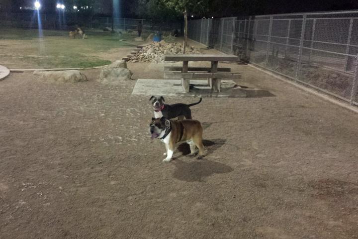 Pet Friendly Dog Park at Sunset Park