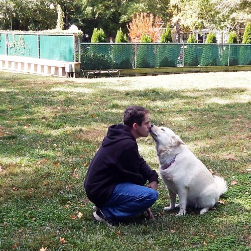 Man's Best Friend