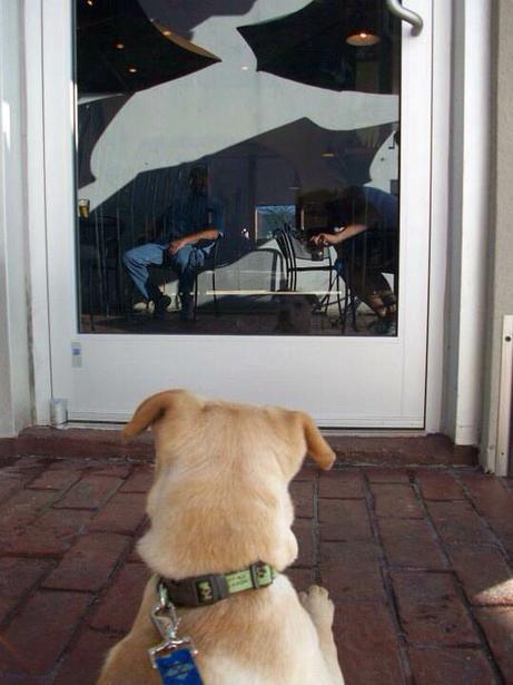 The Corner Slice at Fisher Park restaurant view 3