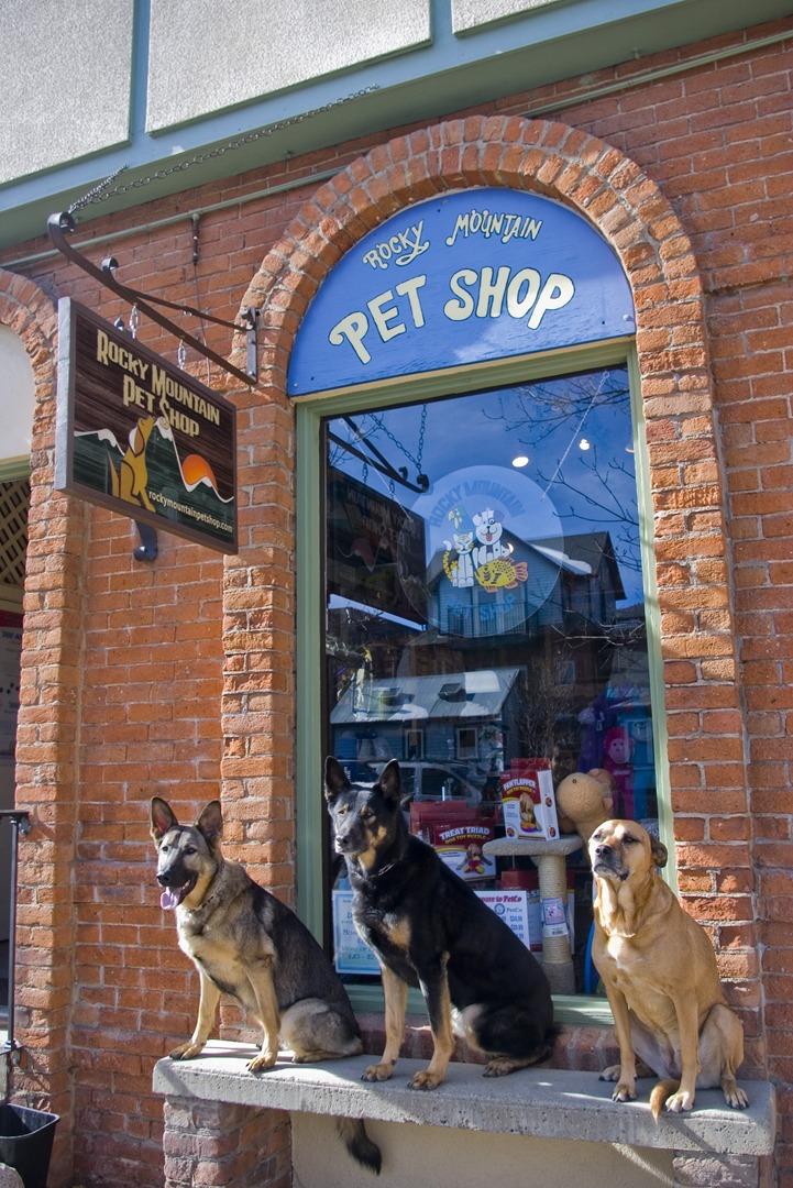 Pet Friendly Rocky Mountain Pet Shop