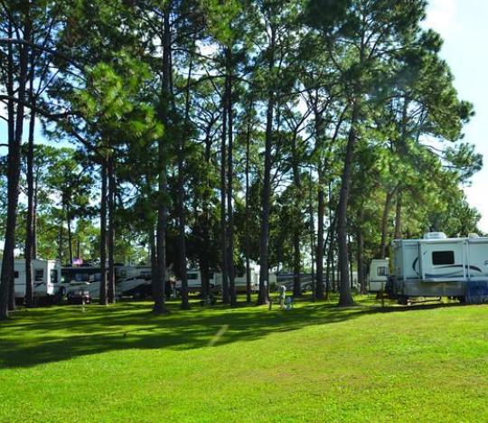 Pet Friendly Campgrounds In Mount Dora Fl Bringfido