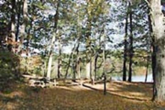 Pet Friendly Wells State Park Campground
