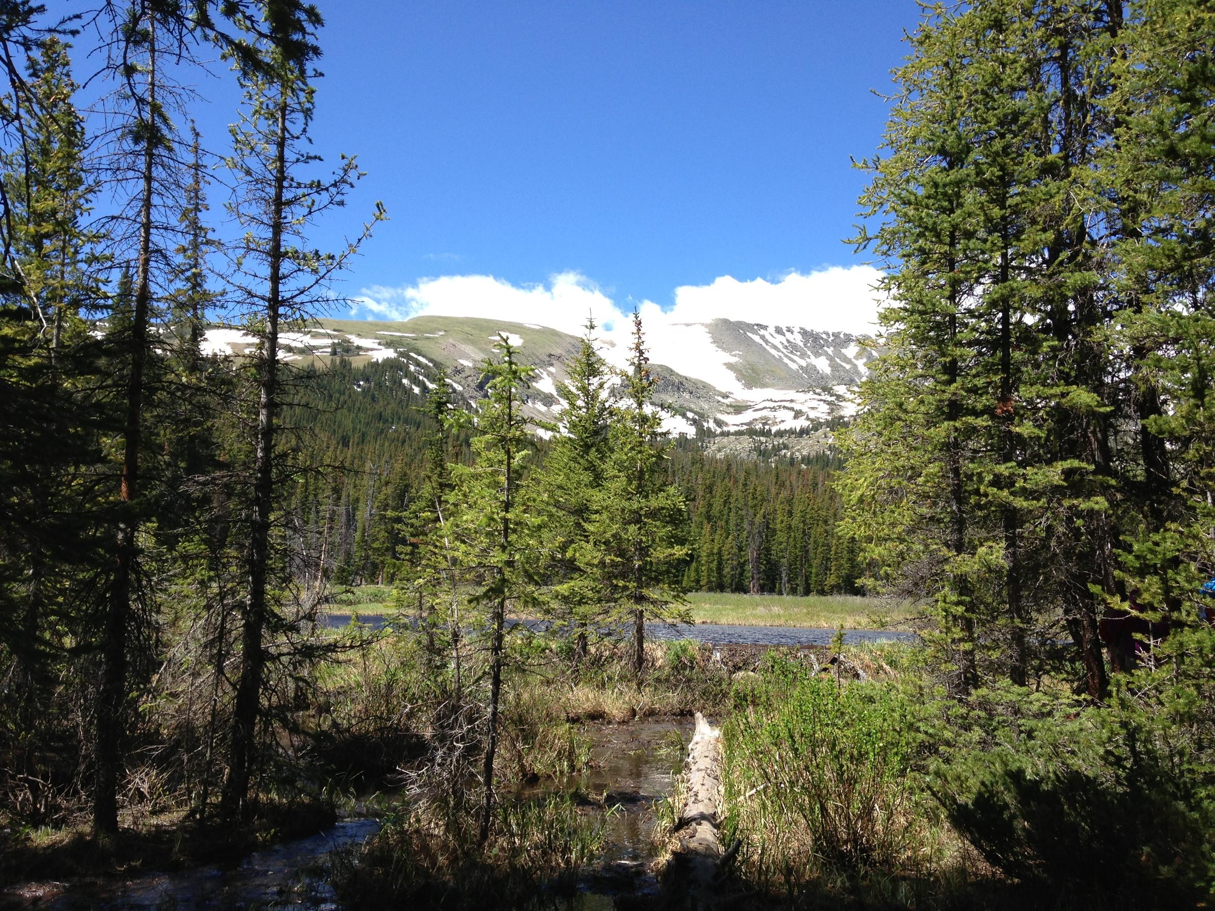 Spruce Creek Trail to Mohawk Lake Trail