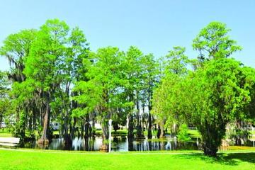 Pet Friendly Hotels In Winter Garden Fl Bringfido