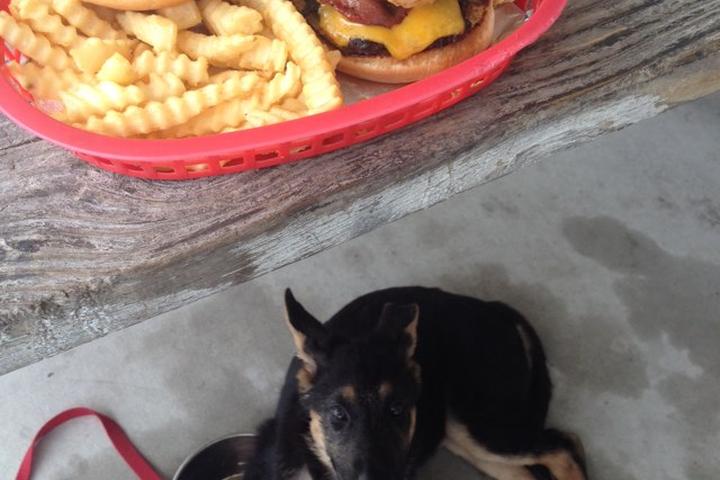 Dog Friendly Restaurants In Canyon Lake Tx Bringfido